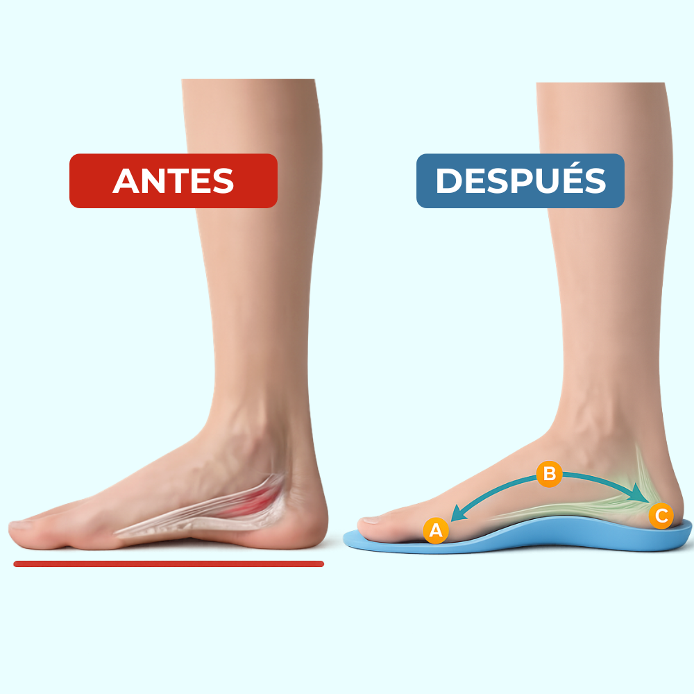 PLANTILLAS VITAL PLUS