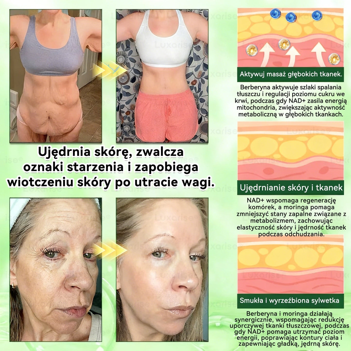 PARCHE NANO MORINGA CONTROLA EL APETITO, MEJORA ENERGÍA Y REAFIRMA LA PIEL EN SEMANAS - PACK X10