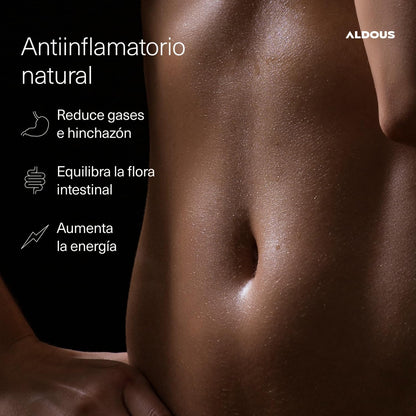 CÚRCUMA PROBIPLUS BIO PODER NATURAL