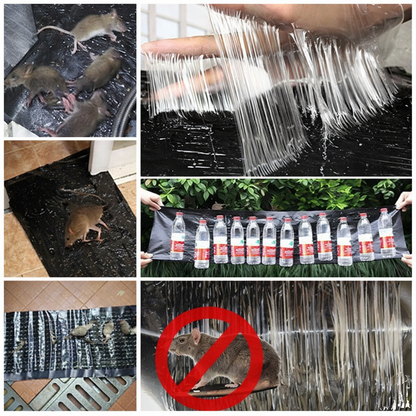 TRAMPAS PEGAJOSAS PARA ROEDORES